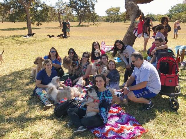 Campinho da Octagonal