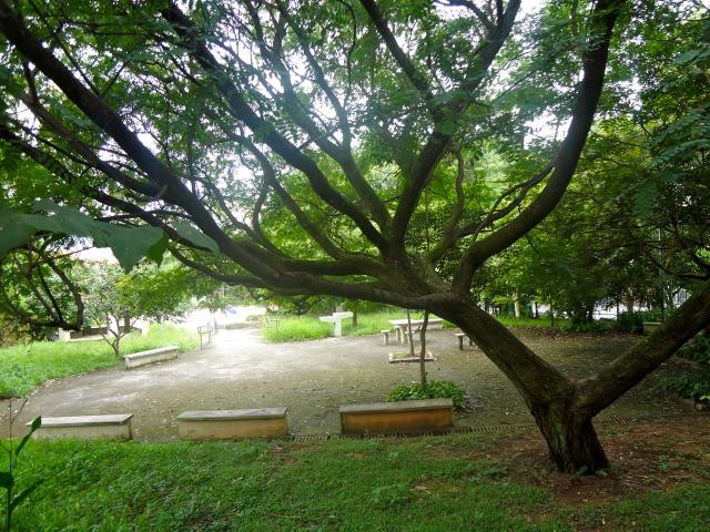 Parque Jacintho Alberto