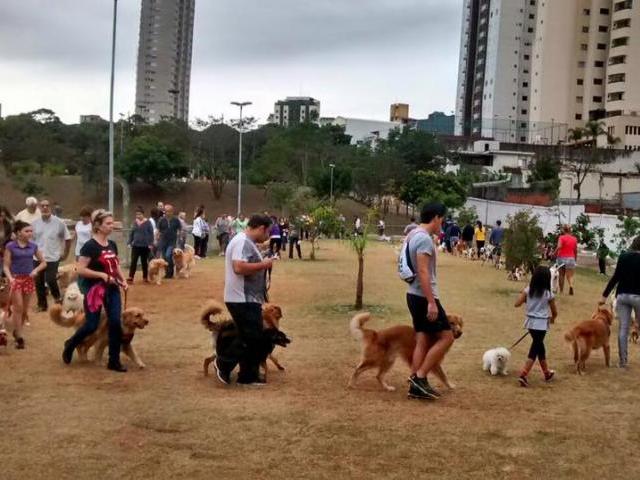 Espaço Pet do Ceret