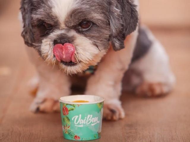 Mr Brownie & Vai Bem