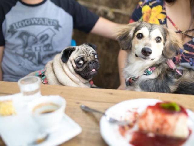 Ernesto Cafés Especiais