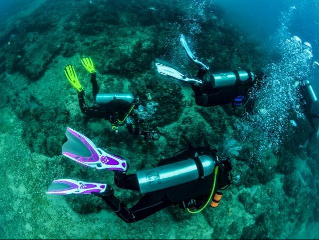 DiveLife Escola de Mergulho